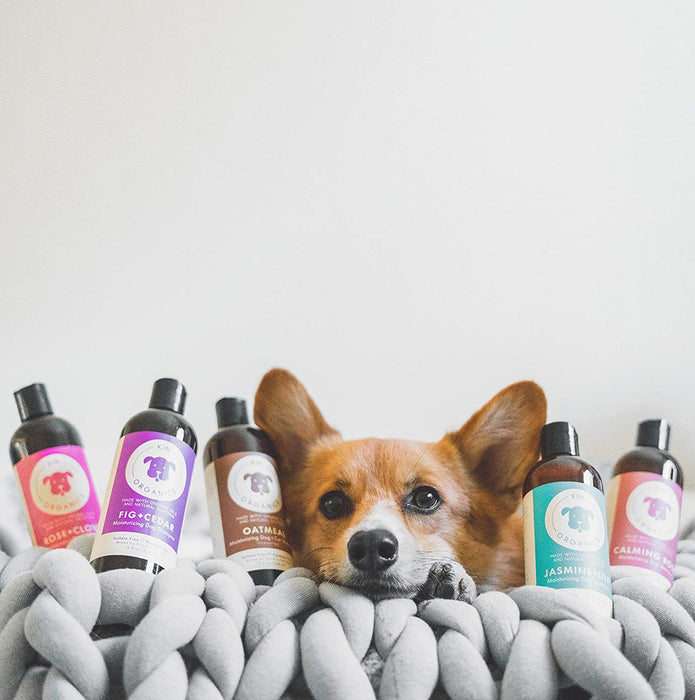 kin+kind kin organics Jasmine+Lily Organic Dog Shampoo, 12 oz